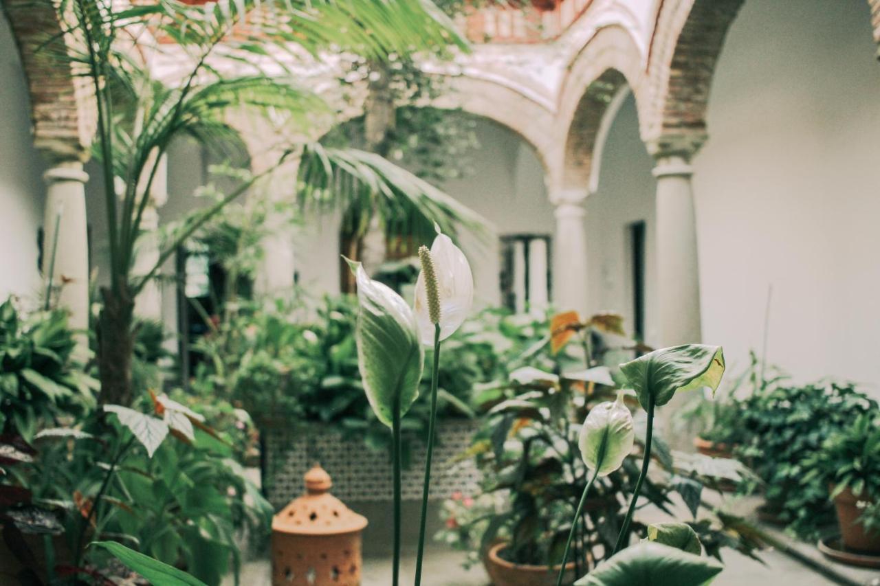 La Duquesa Guest House Ταρίφα Εξωτερικό φωτογραφία